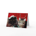 Christmas Pets cards by HolidayPostage Christmas Pets cards