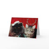 Christmas Pets