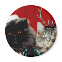 Christmas Pets magnets