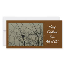 Christmas Photo Card:  Little Bird