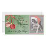 Christmas Photo Cards for your pets!