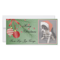 Christmas Photo Cards for your pets!