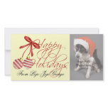 Christmas Photo Cards for your pets!