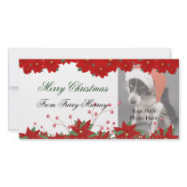 Christmas Photo Cards from your pets! photo cards by DoggieAvenue Christmas Photo Cards from your pets! photo cards