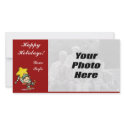Christmas Photo Cards photo cards