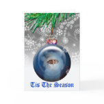 Christmas Photo Template Holiday Greeting Card cards