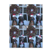 christmas pic for students postcards by msddawson christmas pic for students postcards