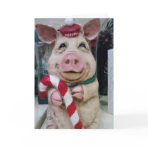 CHRISTMAS PIGGY WISHES CARD