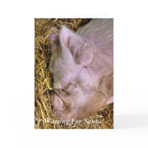 CHRISTMAS PIGS GREETING CARD