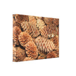 Christmas Pine Cones Canvas Print