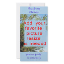 Christmas Pine Photocard-customize completely Photo Cards