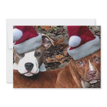 Christmas Pitbull 10 pack Invitations
