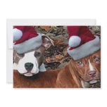 Christmas Pitbull 10 pack Invitations