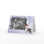 Christmas Pitbull / American Staffordshire Terrier Greeting Card
