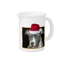 pitbull pitchers