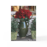 Christmas Poinsetta card