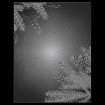 Christmas Poinsettia Black And Grey flyers
