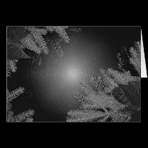 Christmas Poinsettia Black And Grey cards