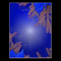 Christmas Poinsettia Blue postcards