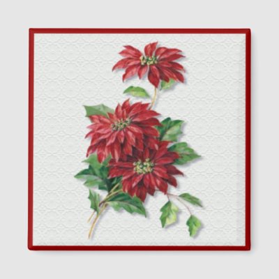 Christmas Poinsettia magnets