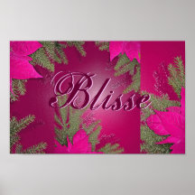 Christmas Poinsettia Pink Blisse II Poster