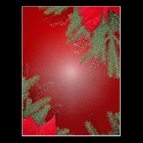 Christmas Poinsettia Red postcards