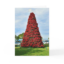 Christmas Poinsettia Tree In San Diego cards