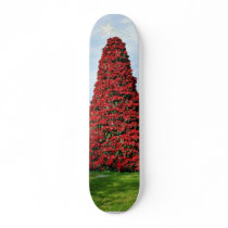Christmas Poinsettia Tree In San Diego skateboards by lifesphere Christmas Poinsettia Tree In San Diego skateboards