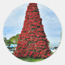 Christmas Poinsettia Tree In San Diego Round Stickers