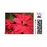 Christmas Pointsettia Postage Stamp