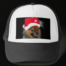 Christmas Pomeranian hats