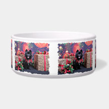 Christmas - Pomeranian - Mazie Dog Water Bowls