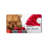 Christmas Pomeranian puppy Address Label