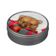 Christmas Pomeranian puppy Jelly Belly Tins