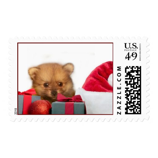 pomeranian gift ideas pomeranian puppy sts pomeranian gift ideas pomeranian puppy sts