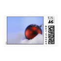 Christmas postage