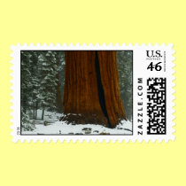 Christmas Postage Stamp