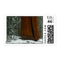Christmas Postage Stamp