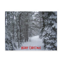 Christmas postcards