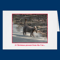 Christmas present from the Cat.... cards