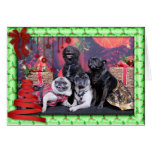 Christmas Pug Bruno Pearl Ms Wiggles - ChiPom Bear Cards