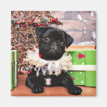 Christmas - Pug - Daisy Mae Fridge Magnet