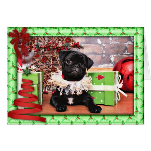 Christmas - Pug - Daisy Mae Greeting Card