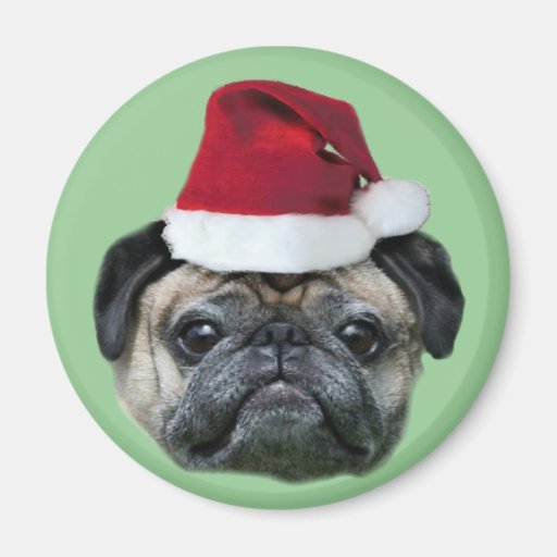 pug magnets pug magnet zazzle pug magnets pug magnet zazzle