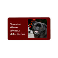 Christmas pug dog personalized address label