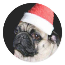 Christmas pug dog sticker