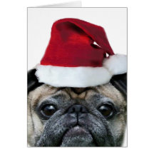 Christmas pug greeting card