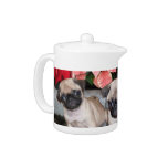 Christmas pug puppies