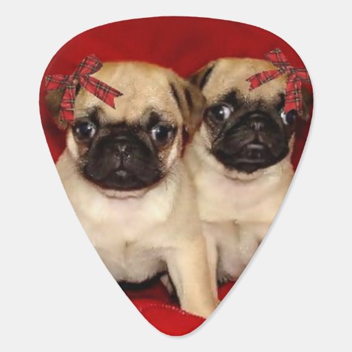 pug picks pug puppies guitar zazzle pug picks pug puppies guitar zazzle