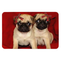 Christmas Pug Puppies Flexible Magnets